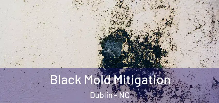 Black Mold Mitigation Dublin - NC