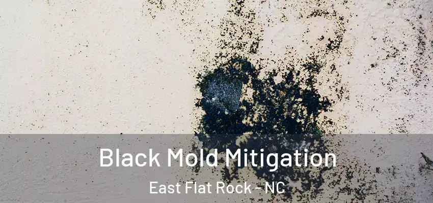  Black Mold Mitigation East Flat Rock - NC