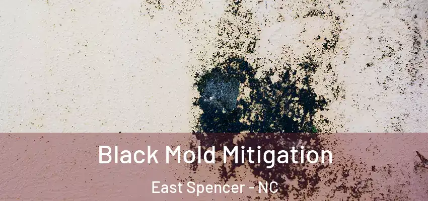  Black Mold Mitigation East Spencer - NC