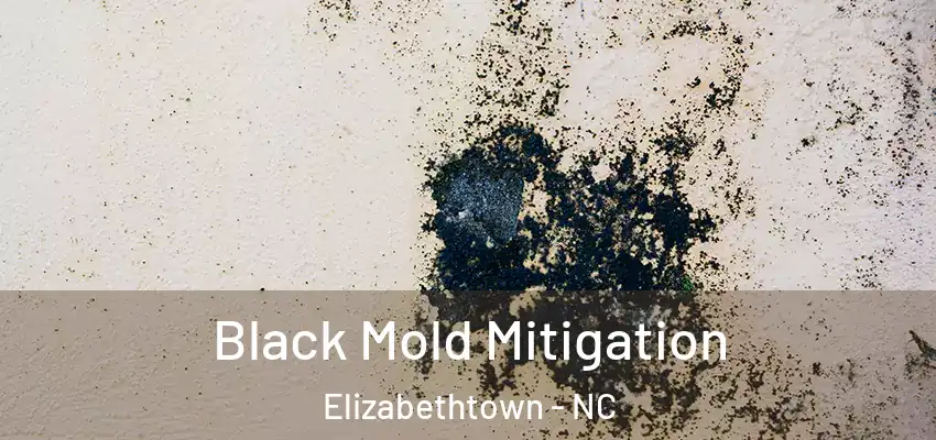 Black Mold Mitigation Elizabethtown - NC