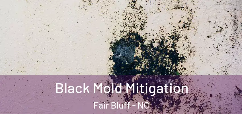 Black Mold Mitigation Fair Bluff - NC