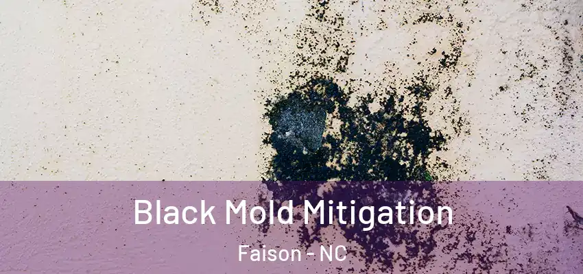 Black Mold Mitigation Faison - NC