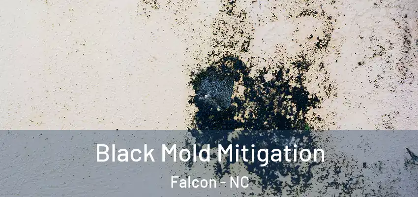 Black Mold Mitigation Falcon - NC