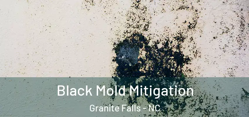 Black Mold Mitigation Granite Falls - NC
