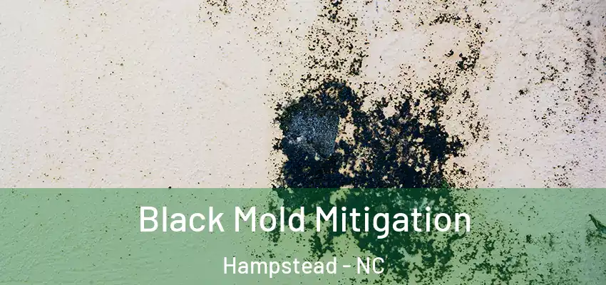 Black Mold Mitigation Hampstead - NC