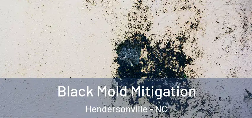  Black Mold Mitigation Hendersonville - NC