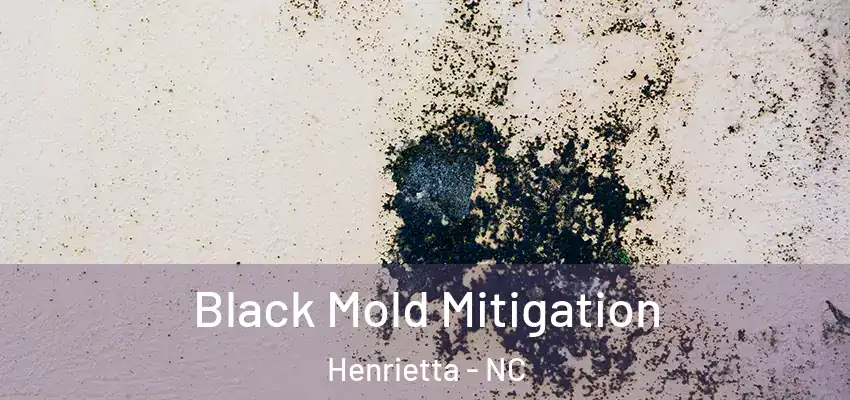 Black Mold Mitigation Henrietta - NC