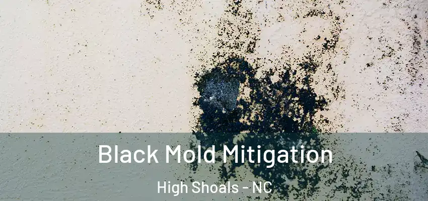  Black Mold Mitigation High Shoals - NC
