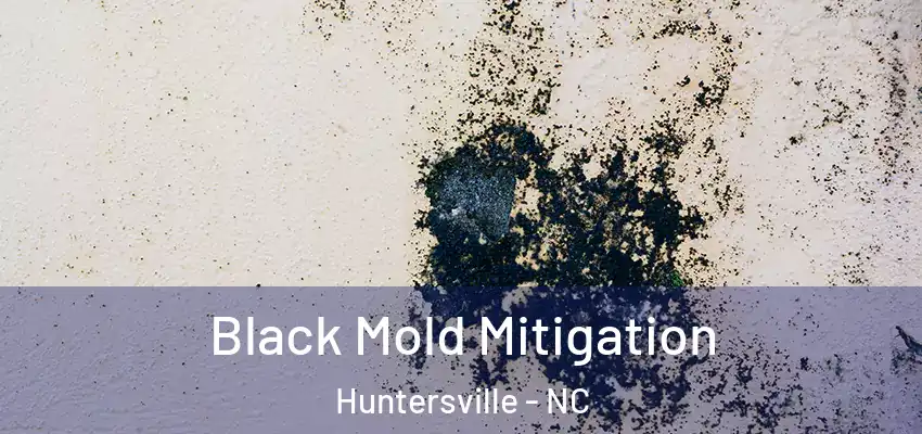 Black Mold Mitigation Huntersville - NC