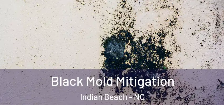 Black Mold Mitigation Indian Beach - NC