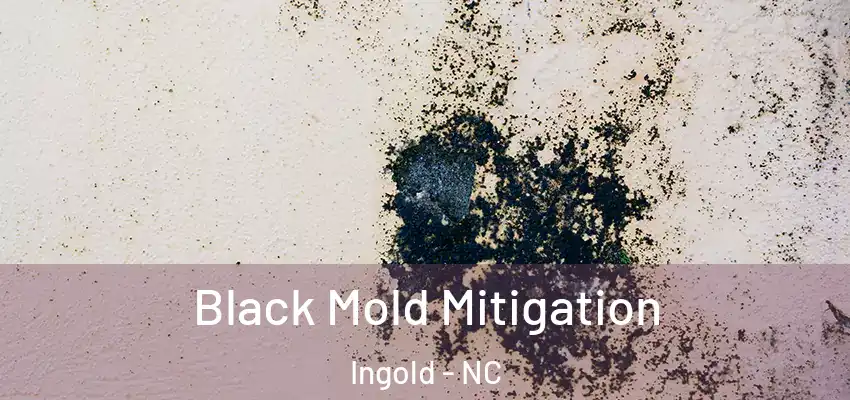 Black Mold Mitigation Ingold - NC