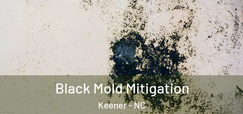  Black Mold Mitigation Keener - NC