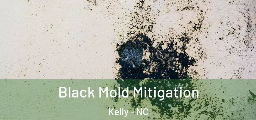  Black Mold Mitigation Kelly - NC