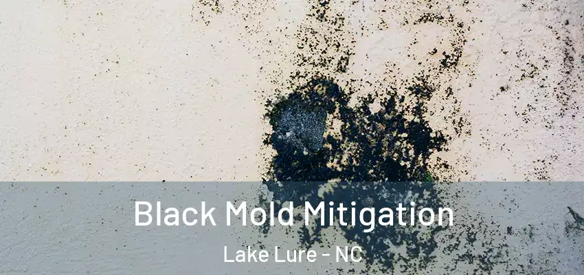 Black Mold Mitigation Lake Lure - NC