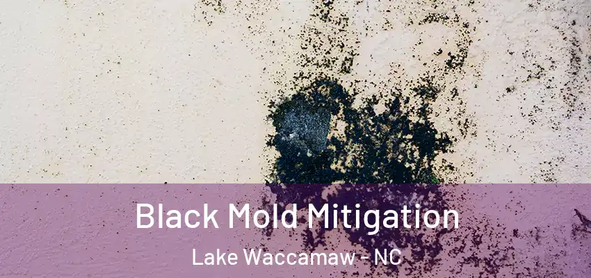  Black Mold Mitigation Lake Waccamaw - NC