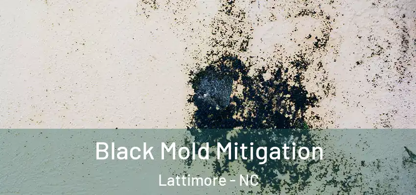 Black Mold Mitigation Lattimore - NC