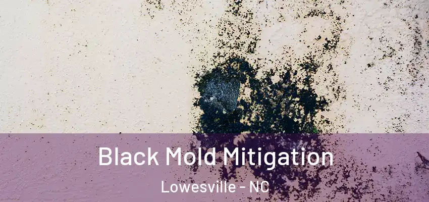 Black Mold Mitigation Lowesville - NC