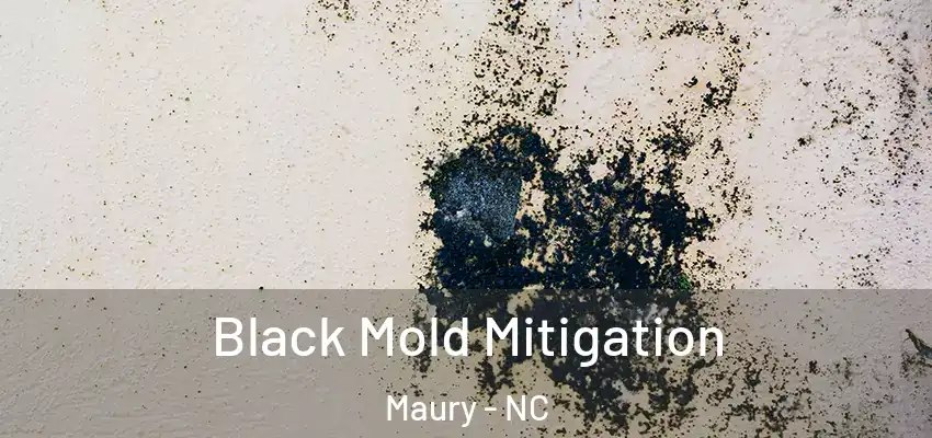  Black Mold Mitigation Maury - NC