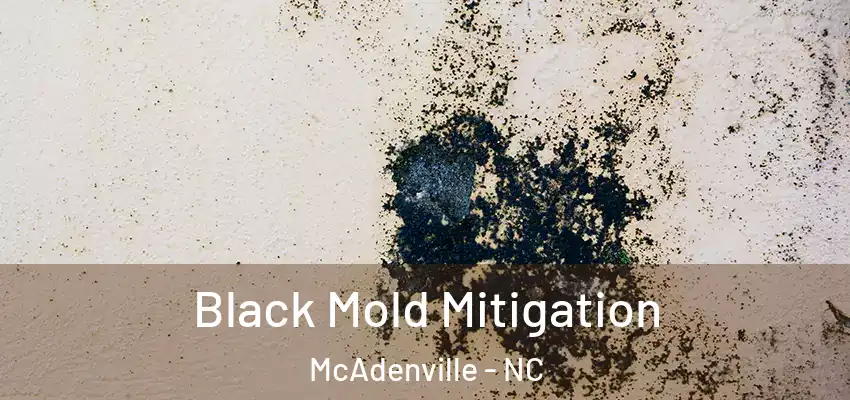  Black Mold Mitigation McAdenville - NC