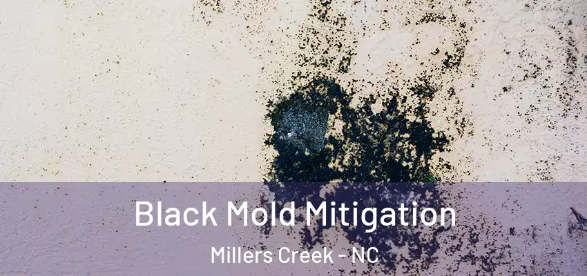 Black Mold Mitigation Millers Creek - NC