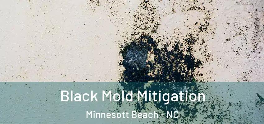  Black Mold Mitigation Minnesott Beach - NC