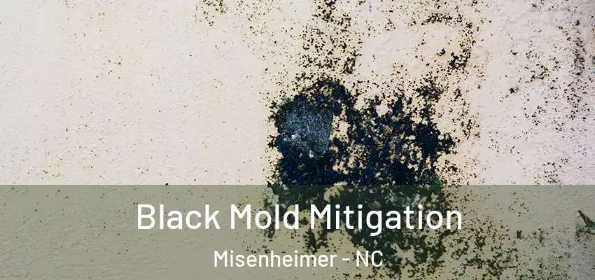  Black Mold Mitigation Misenheimer - NC