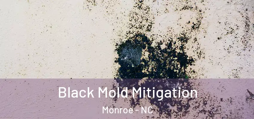 Black Mold Mitigation Monroe - NC