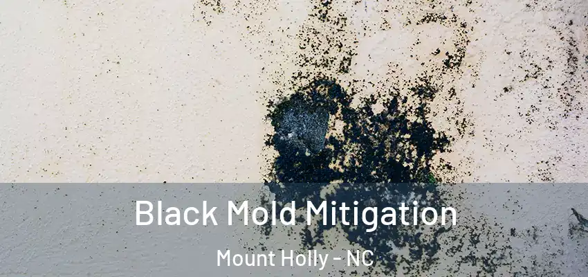 Black Mold Mitigation Mount Holly - NC