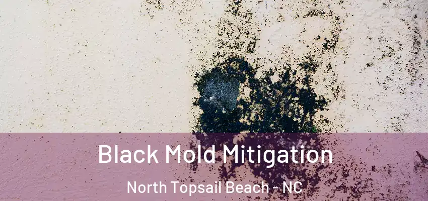 Black Mold Mitigation North Topsail Beach - NC