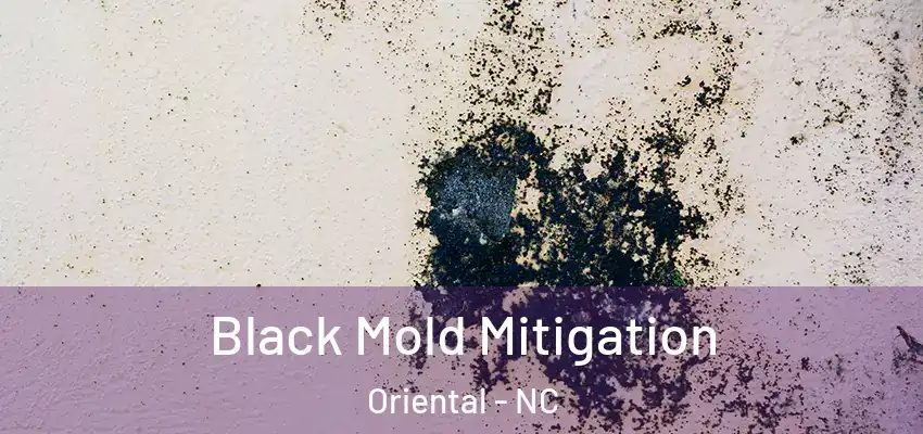 Black Mold Mitigation Oriental - NC