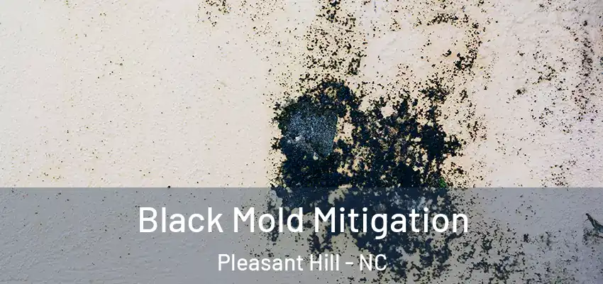  Black Mold Mitigation Pleasant Hill - NC