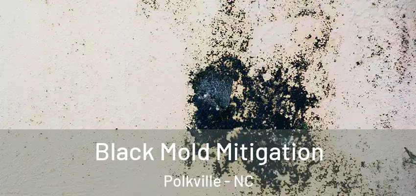 Black Mold Mitigation Polkville - NC