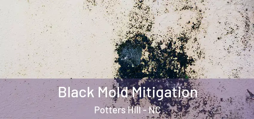 Black Mold Mitigation Potters Hill - NC