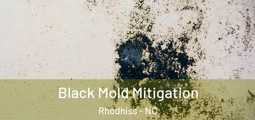  Black Mold Mitigation Rhodhiss - NC