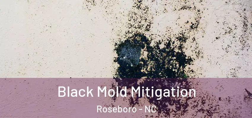 Black Mold Mitigation Roseboro - NC