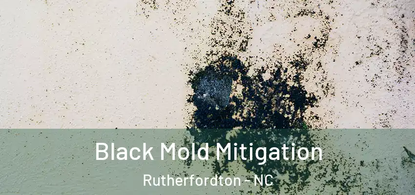 Black Mold Mitigation Rutherfordton - NC