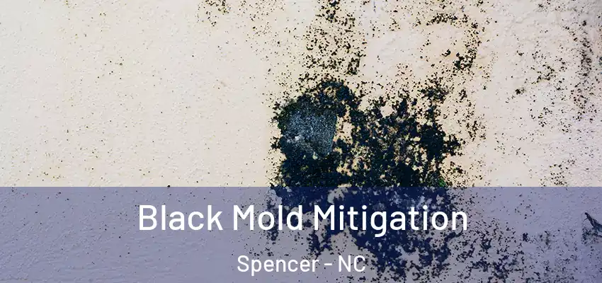 Black Mold Mitigation Spencer - NC