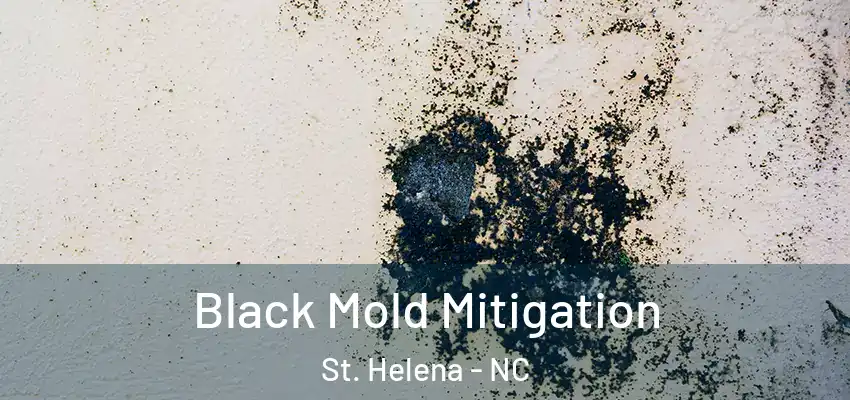  Black Mold Mitigation St. Helena - NC