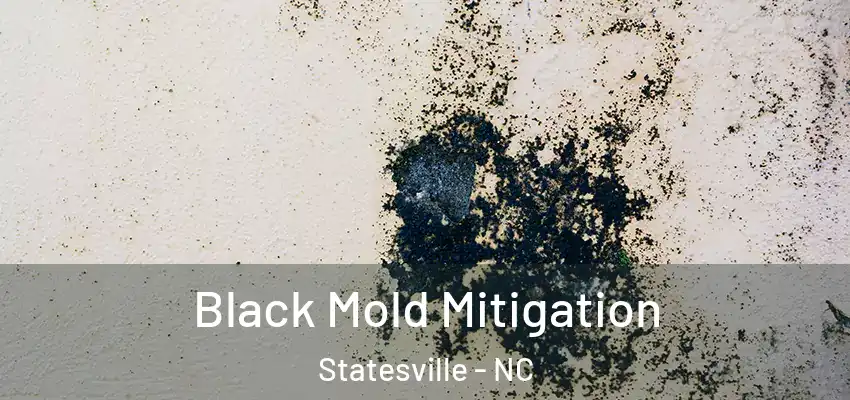 Black Mold Mitigation Statesville - NC