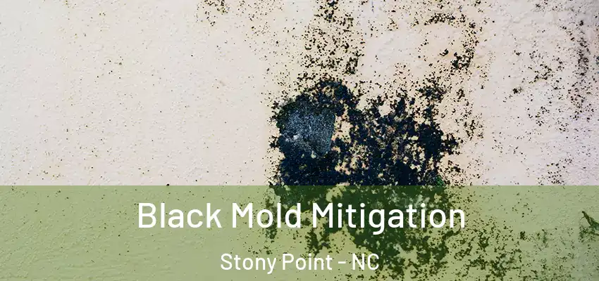 Black Mold Mitigation Stony Point - NC