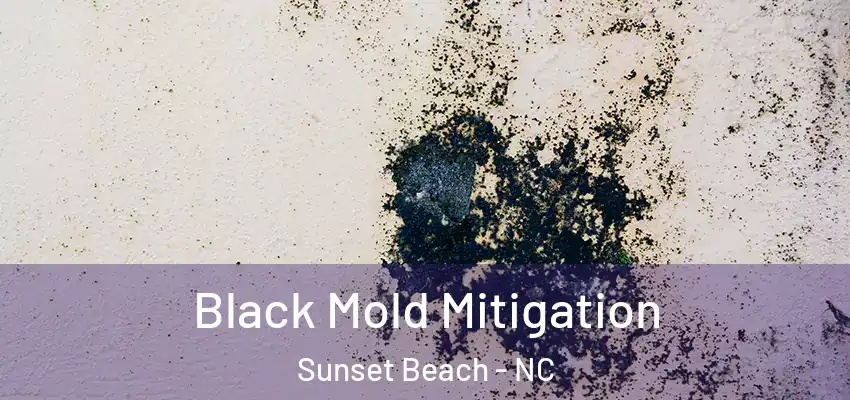 Black Mold Mitigation Sunset Beach - NC