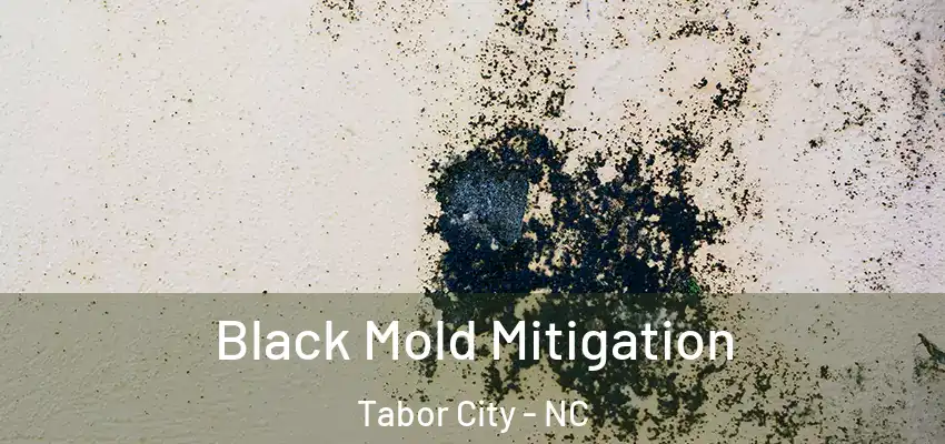  Black Mold Mitigation Tabor City - NC