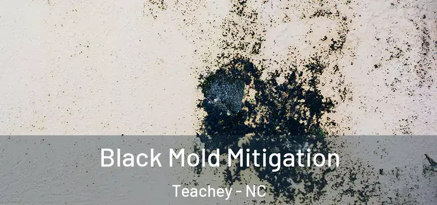  Black Mold Mitigation Teachey - NC