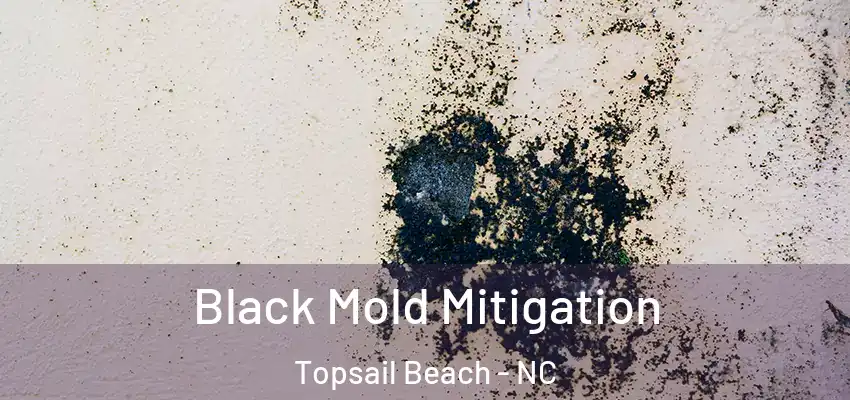  Black Mold Mitigation Topsail Beach - NC
