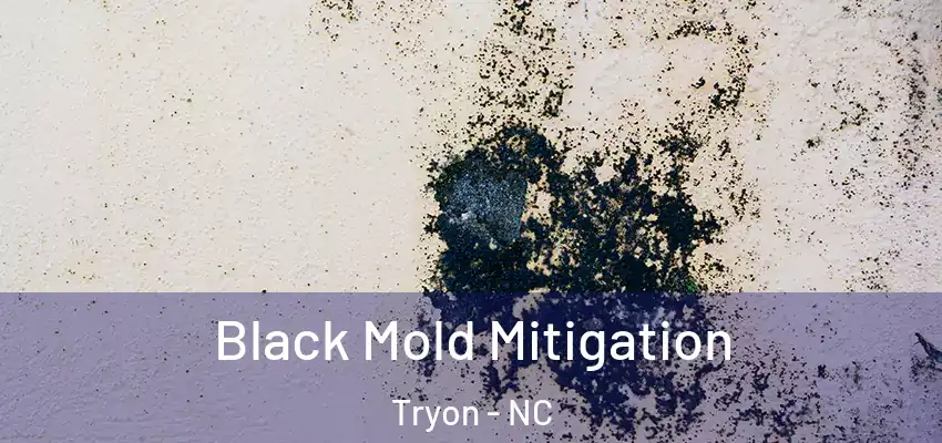 Black Mold Mitigation Tryon - NC