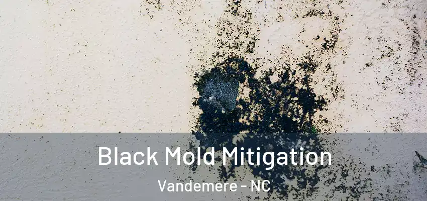  Black Mold Mitigation Vandemere - NC