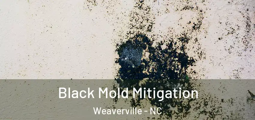  Black Mold Mitigation Weaverville - NC