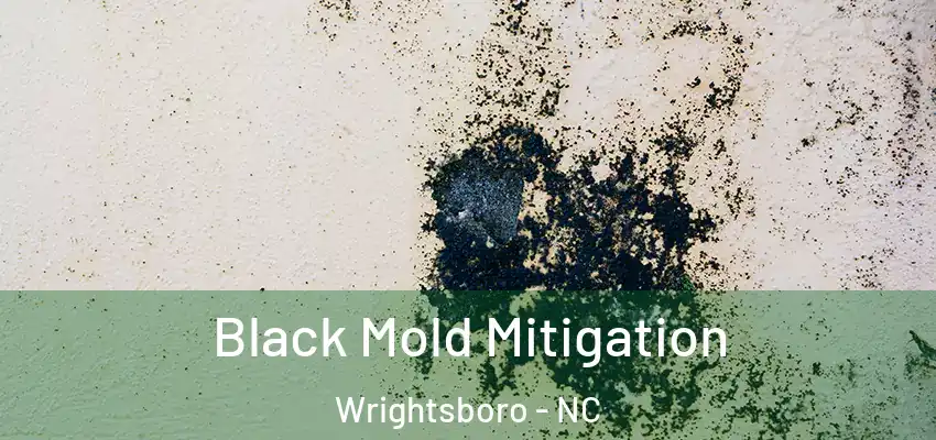 Black Mold Mitigation Wrightsboro - NC