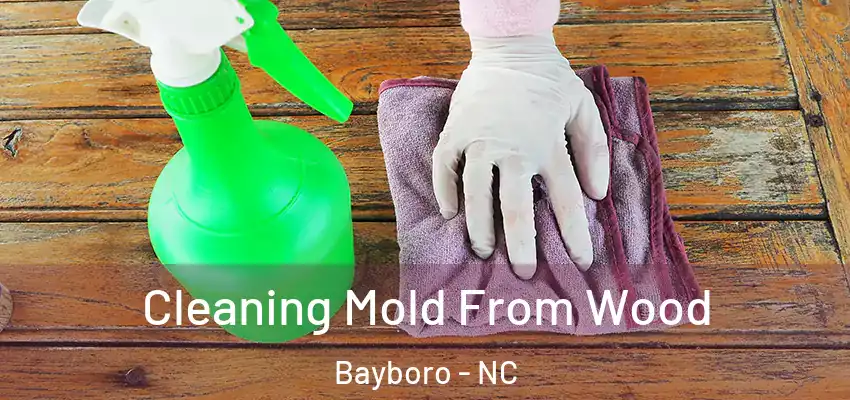  Cleaning Mold From Wood Bayboro - NC