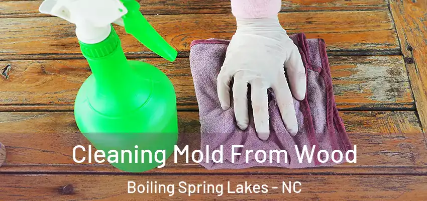  Cleaning Mold From Wood Boiling Spring Lakes - NC